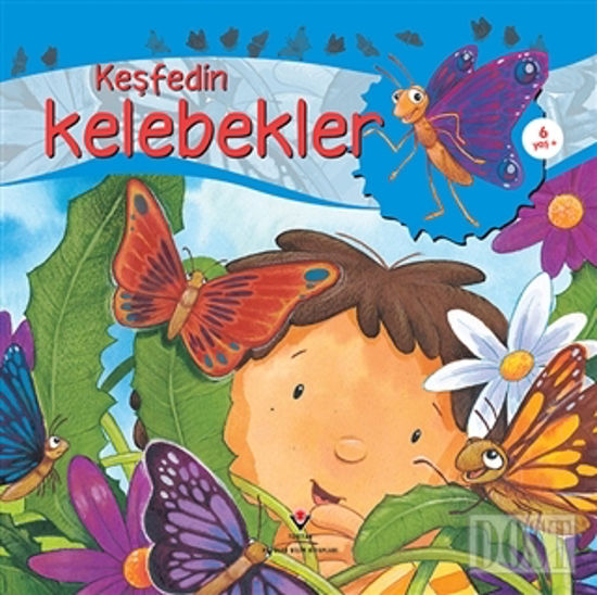 Keşfedin Kelebekler